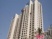 君河湾1期3#楼工程进度（2013-10-11）