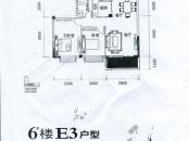 同和佳境6#E3户型 2室2厅1卫1厨