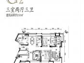 三江国际丽城阅世集G2户型 3室2厅3卫1厨