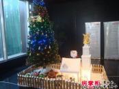 菲呢克斯国际公寓实景图售楼处圣诞树（2012-12-5）