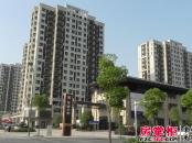 绿地新里紫峰公馆实景图售楼处南侧拍（2013-05-23）