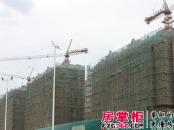 星叶枫情水岸项目施工现场（2013.3.21）