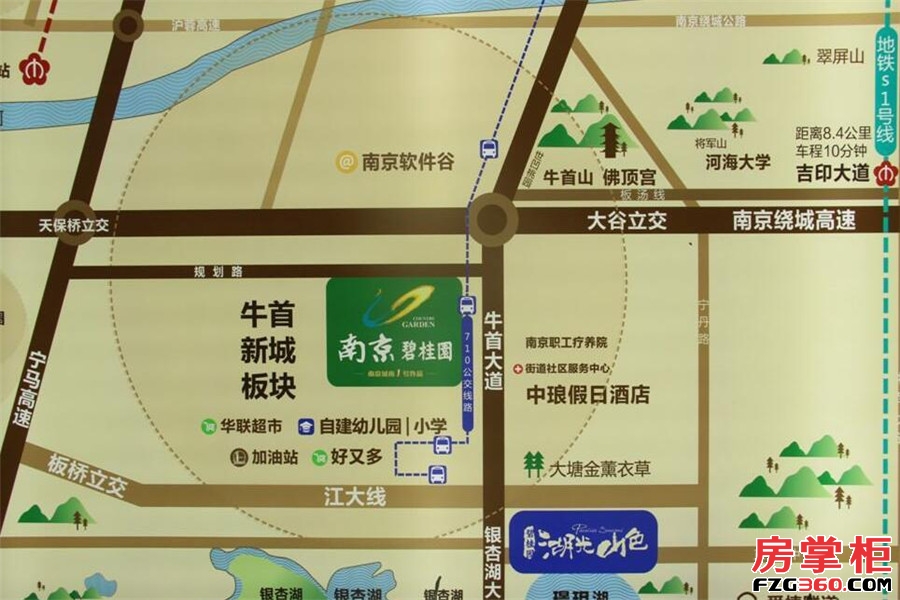 南京碧桂园区位图