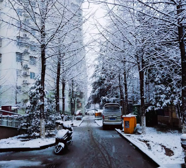 全市阴有中到大雪 东北风4级左右 最低气温: 0℃到1℃ 最高气温: 1