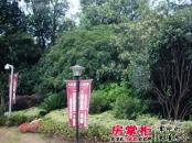 上海庄园实景图（20140818）