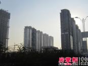 苏中尚城实景图