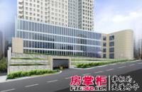 裕龙国际中心 总部中心商业项目