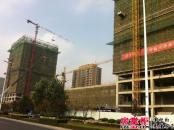 康大凤凰广场实景图工程进展（20111104）