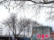 苏宁电器广场实景图