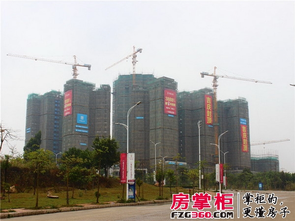 金丘紫金城实景图工程建筑（20150323）