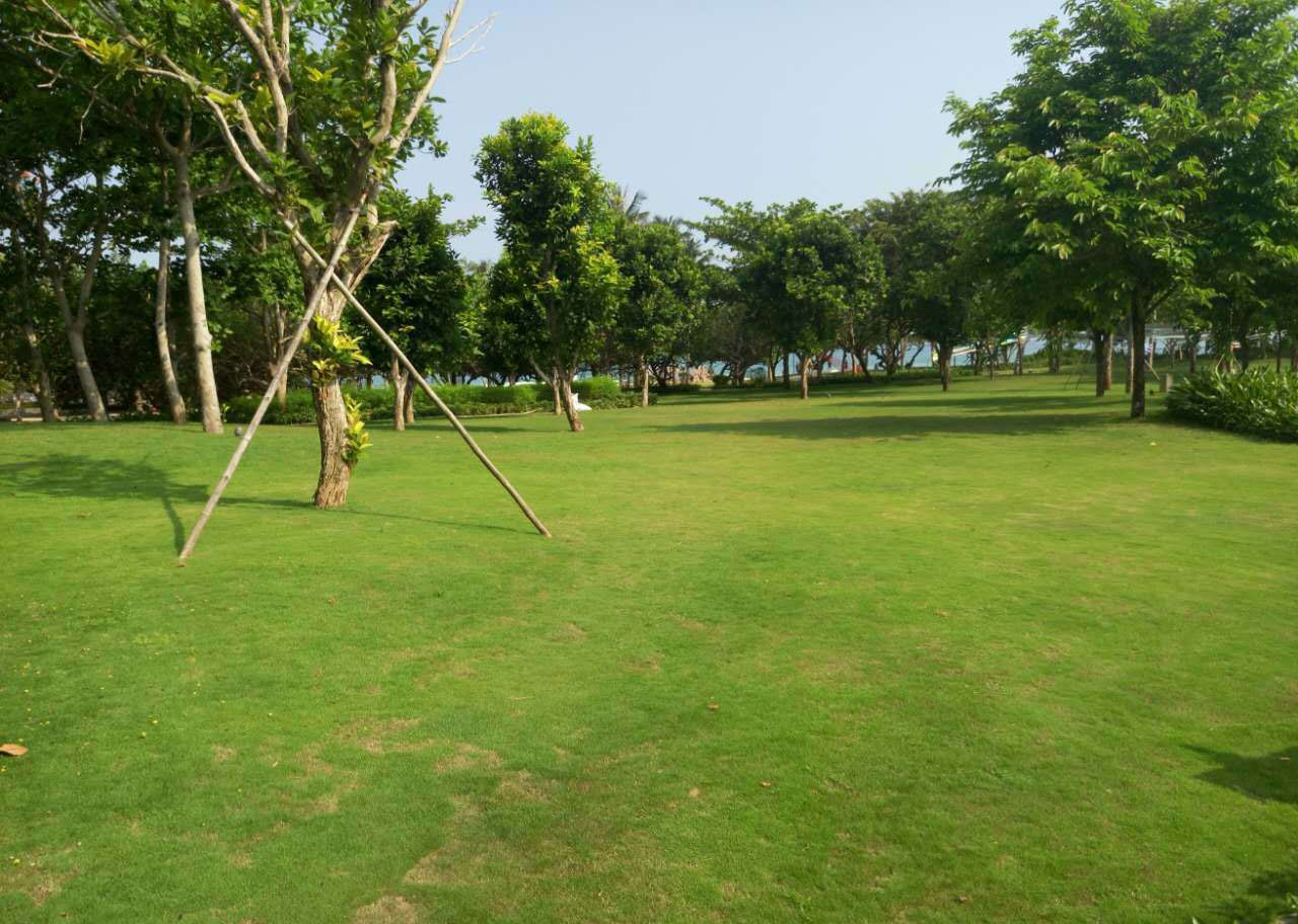 三亚华润石梅湾超高性价比 背山面水青皮林环绕度假圣地