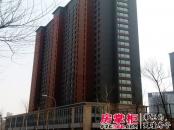 新华国际公寓E号实景图高层（2014-03-20）