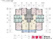 中浩智城4、5、14、26、30号楼标准层户型平面图