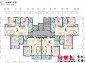 中浩智城7、8、19、20、36号楼标准层户型平面图