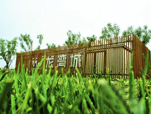 500x375.jpg