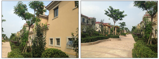 QQ截图20150924164603.jpg