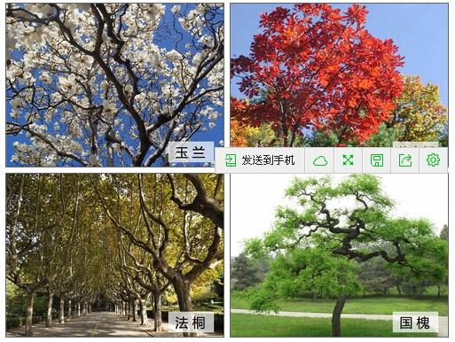 QQ截图20150929150731.jpg