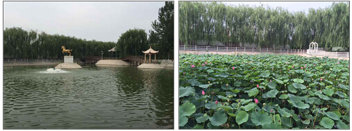 QQ截图20151116102138.jpg