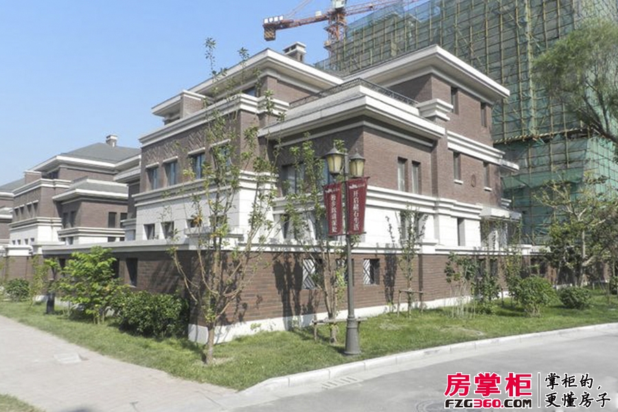 实景图