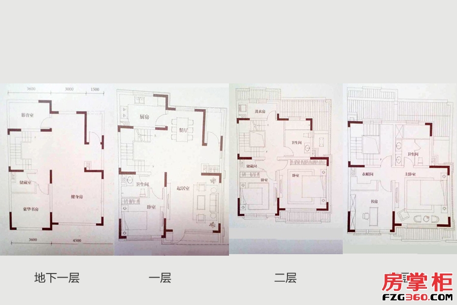 别墅230㎡C户型