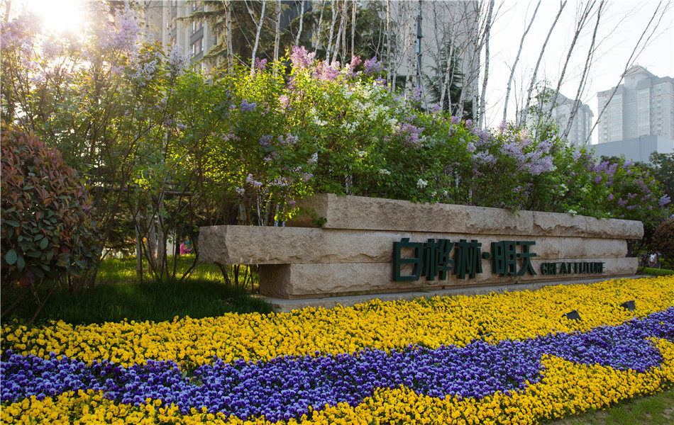 白桦林明天是由西安经发置业有限公司建设开发的集居住,商业,小户型