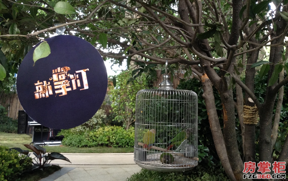 一大波美女来袭 原来是就掌灯样板间开放了