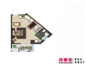 蓝海国际公寓户型图F户型  1室1厅1卫1厨