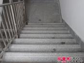 仁隆花园实景图项目内部楼梯20130924