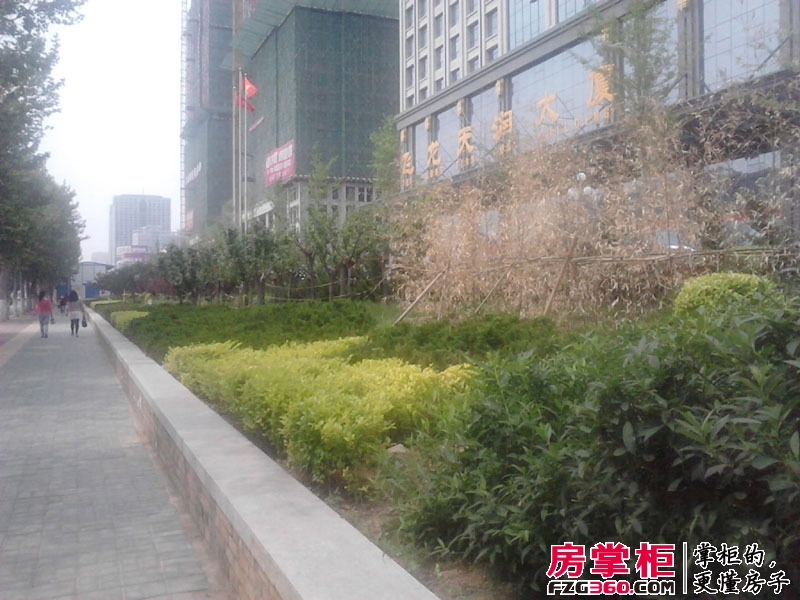 飞龙天润大厦实景图绿化带实拍（2014-5-20）