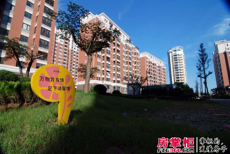 上海滩花园实景图B区已交房小高层实景20120904