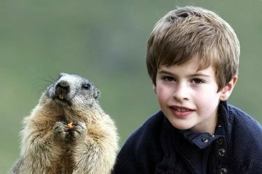 燃爆一大波百鸟萌宠空降中山狂欢开园盛会